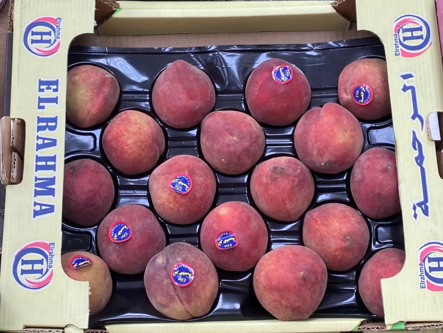 Fresh Egyptian Peaches