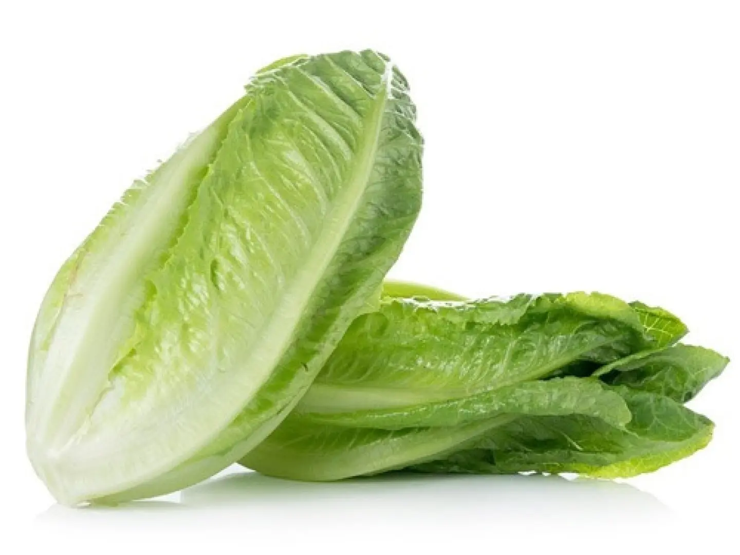 Regular Lettuce Bunch