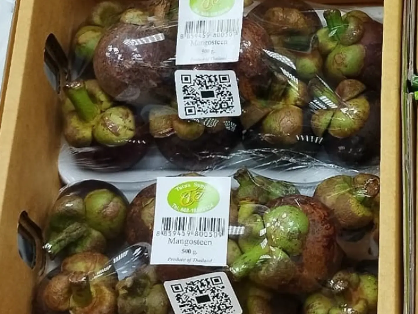 مانغوستين صحن