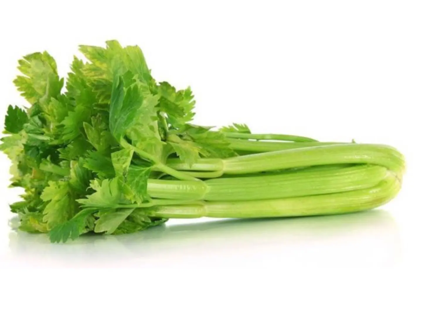 American Celery Bunch