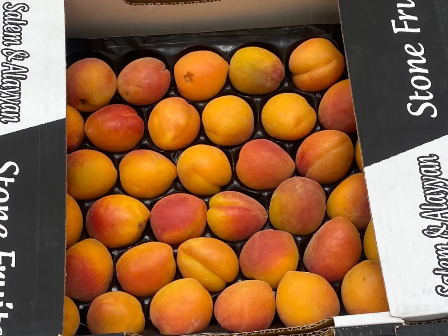 Apricot