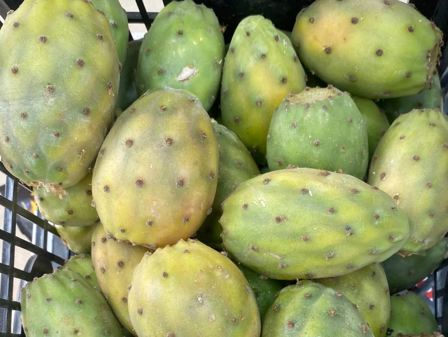 برشومي نص كيلو