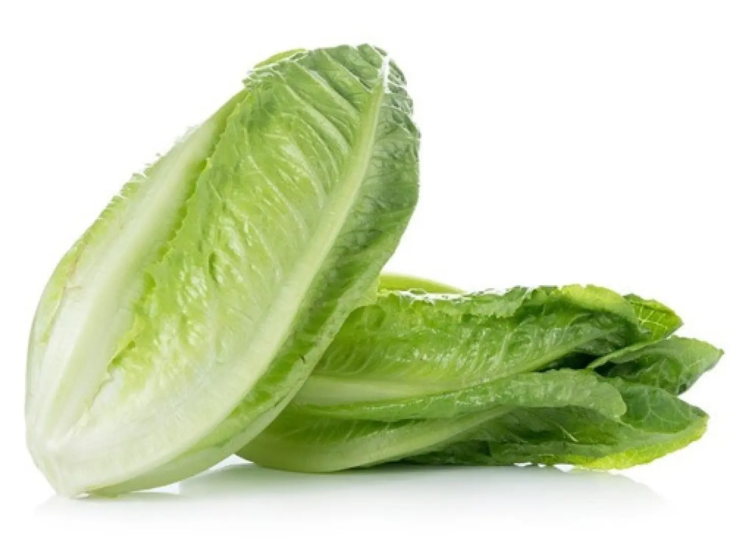 Regular Lettuce 3 Bundles