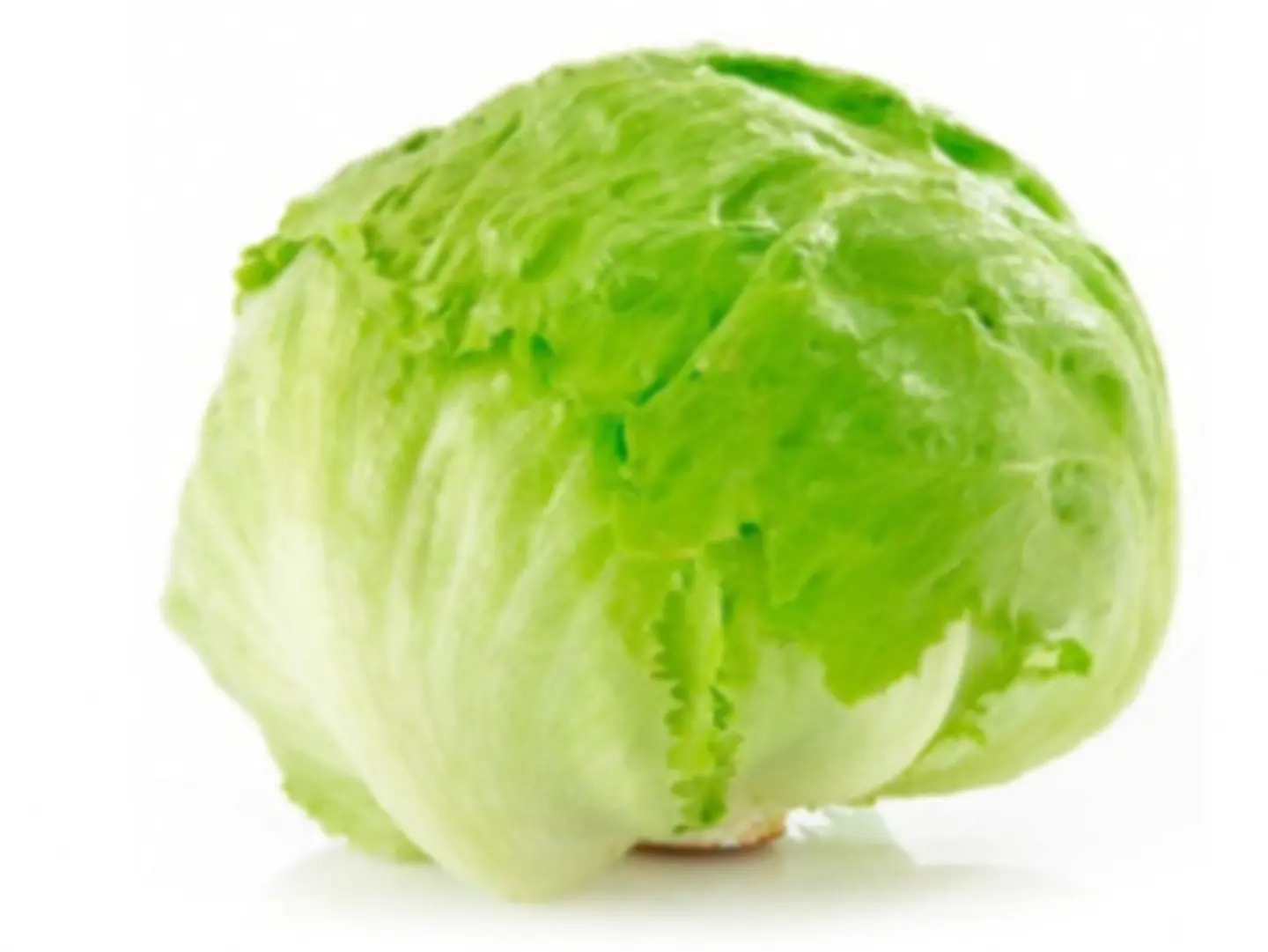 Round Lettuce