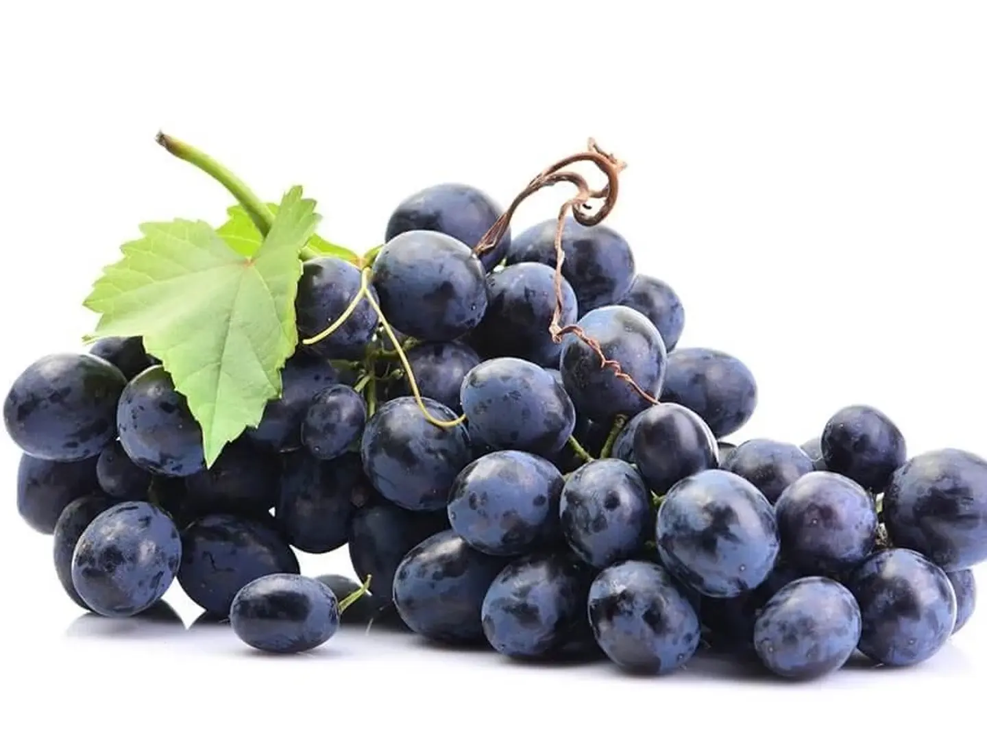 عنب اسود نص كيلو