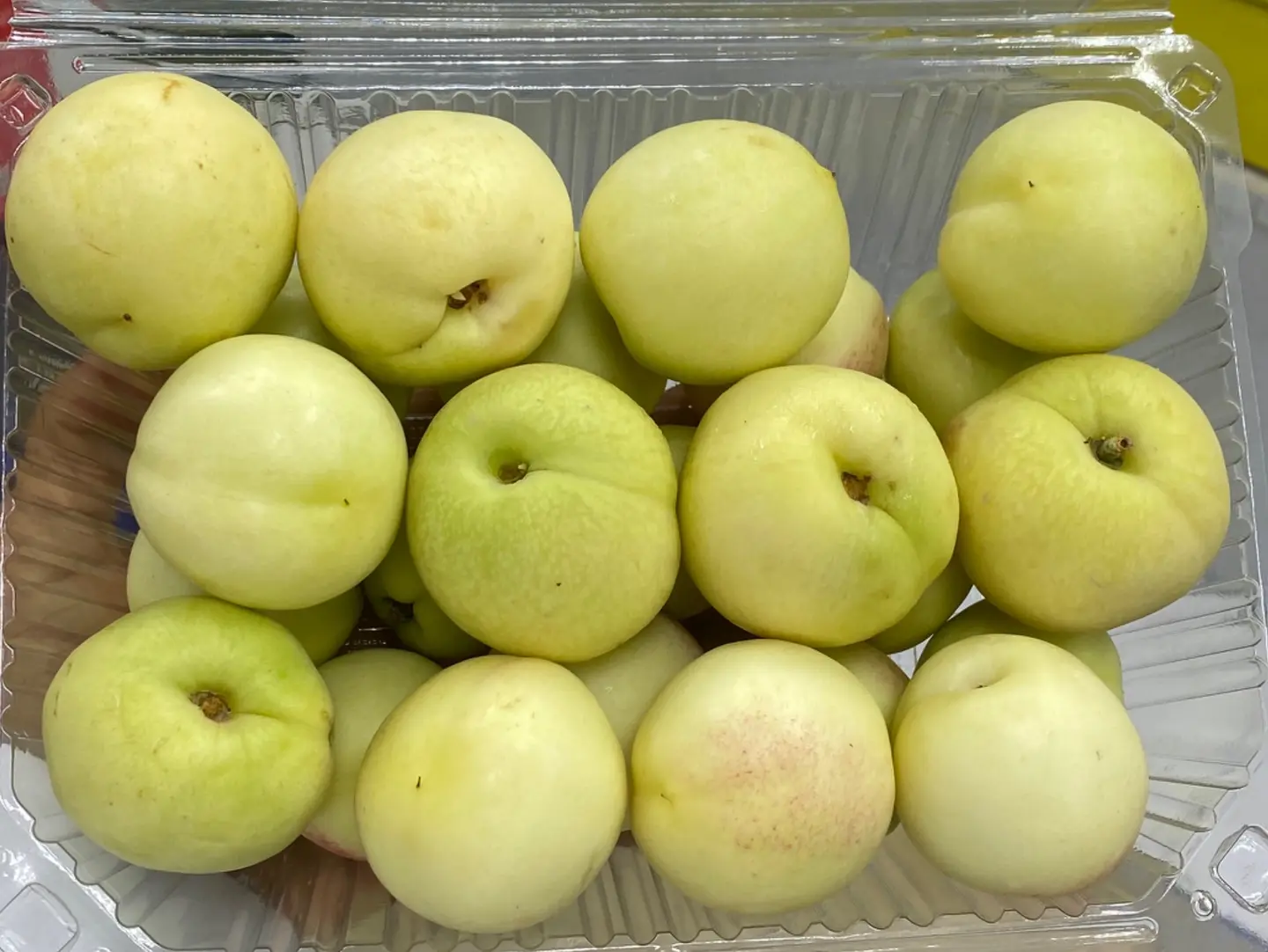 Nectarine