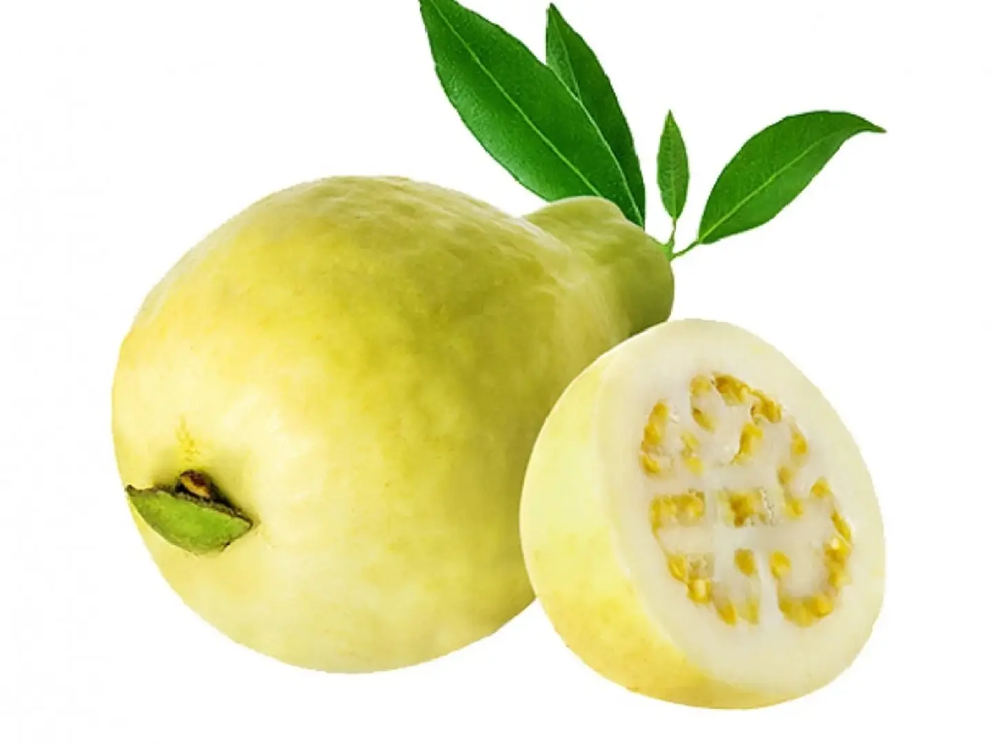 Guava
