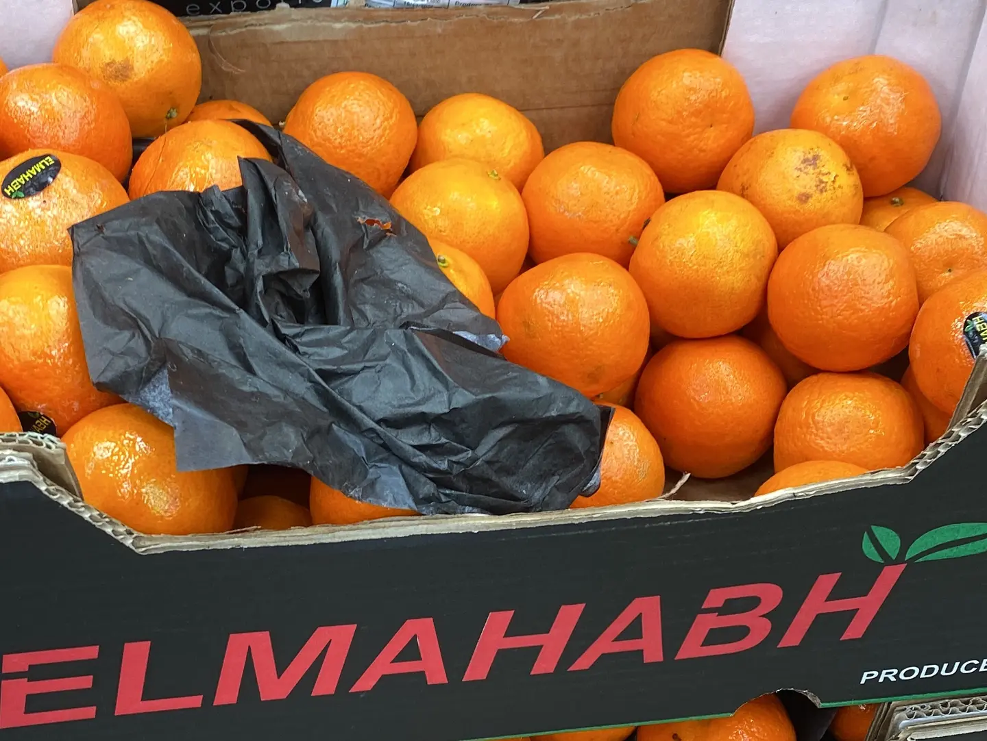 يوسفي أفريقي كيلو