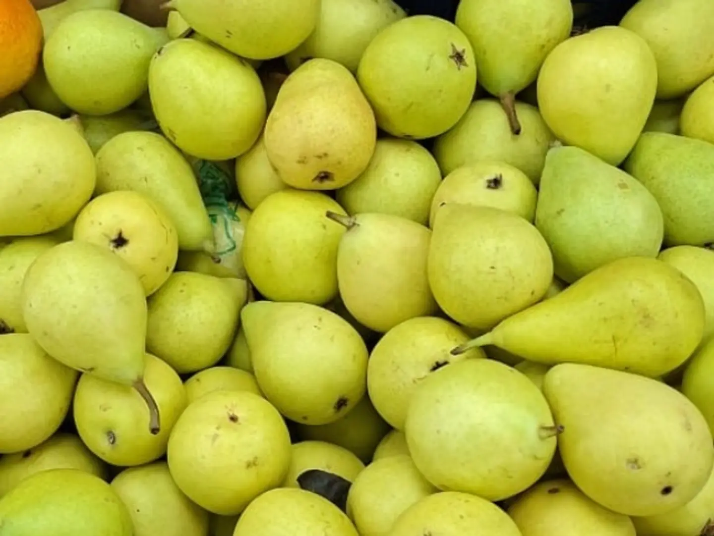 Pears