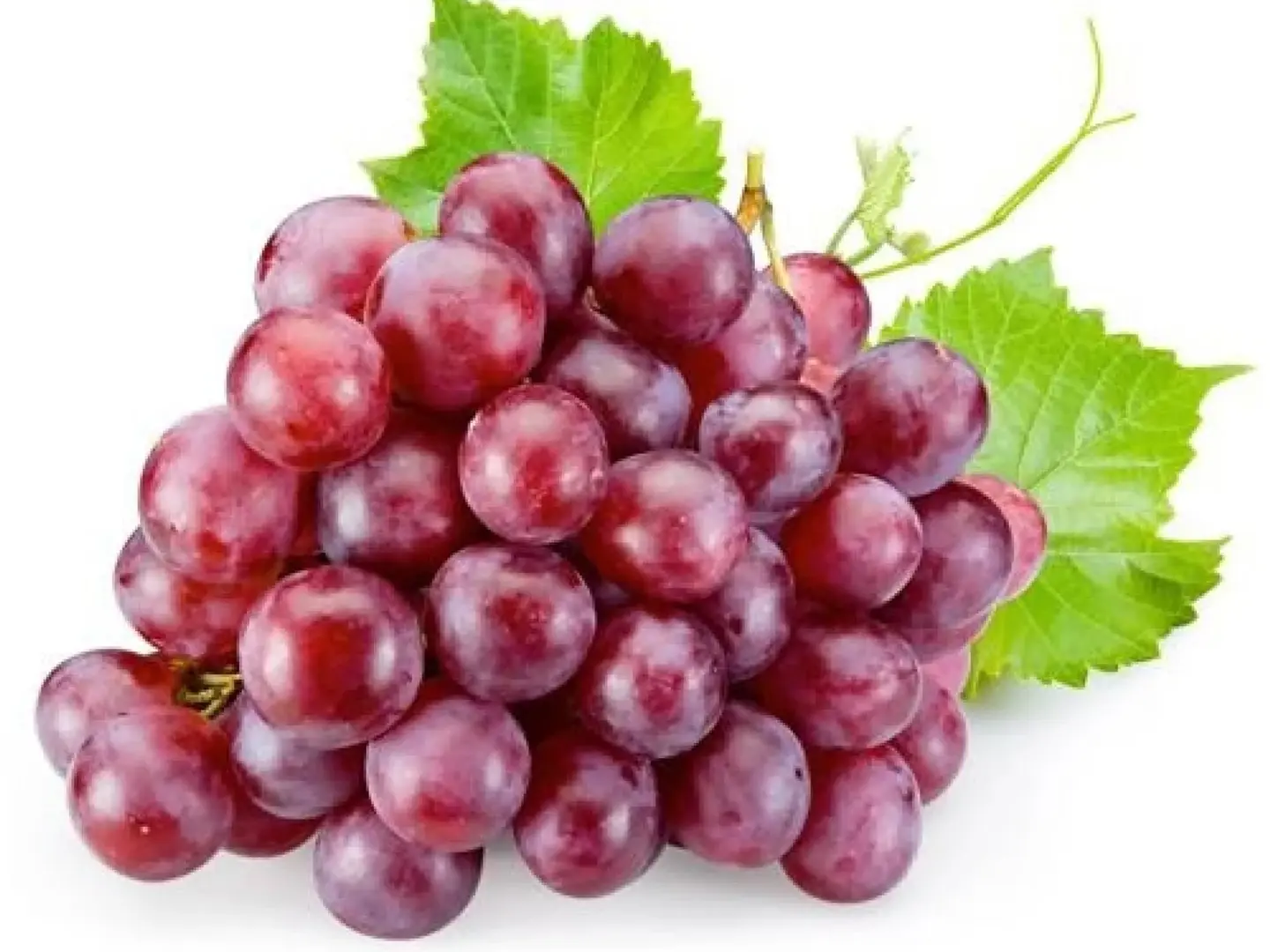 Chilean Red Grapes Per Kilo
