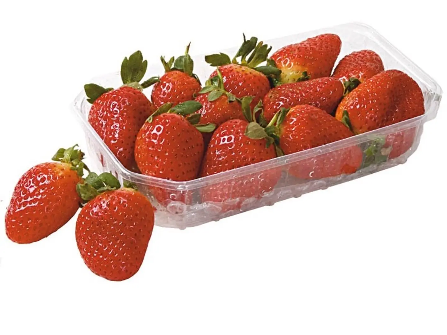 فراوله علبه