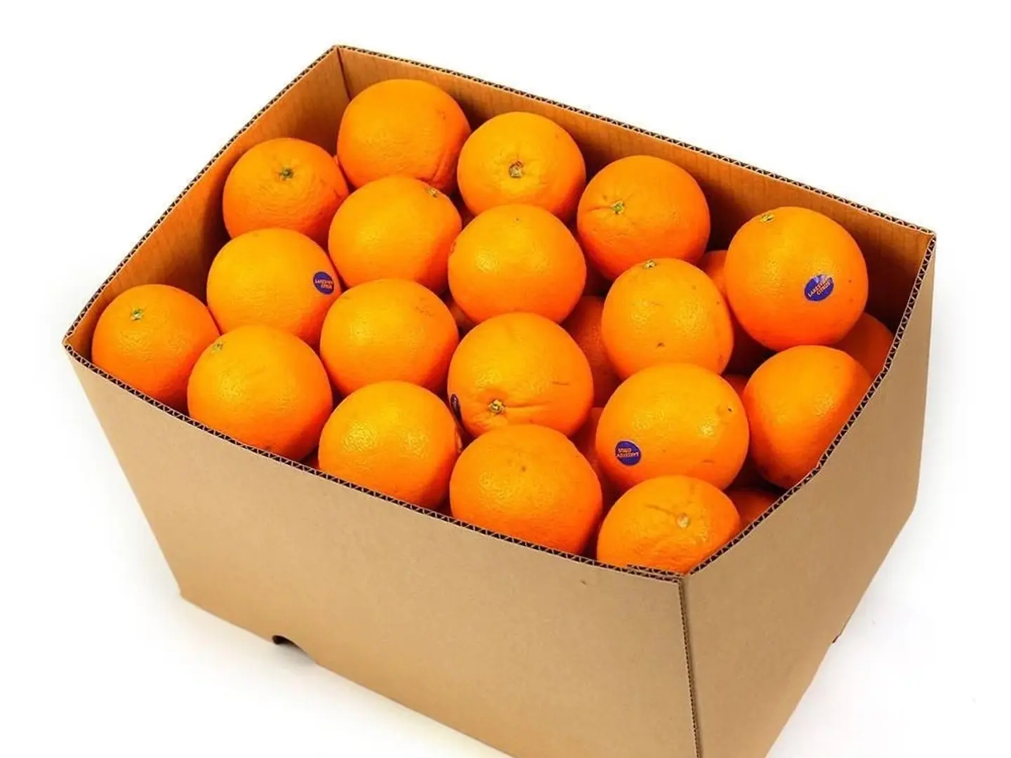 Juicing Oranges Carton