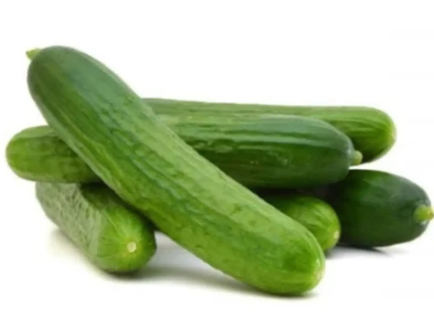 Cucumber Kilo