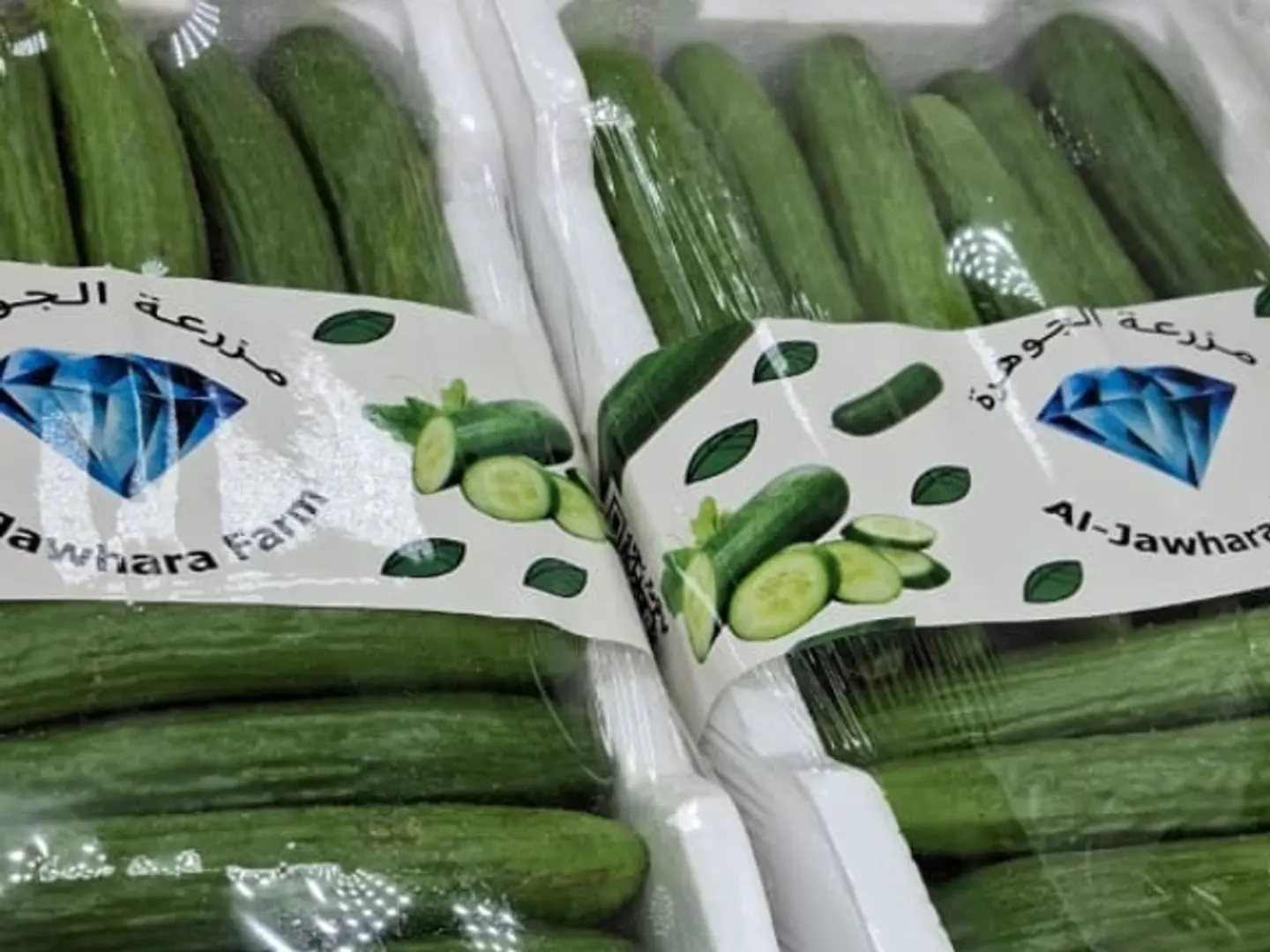 خيار بيبي صغير