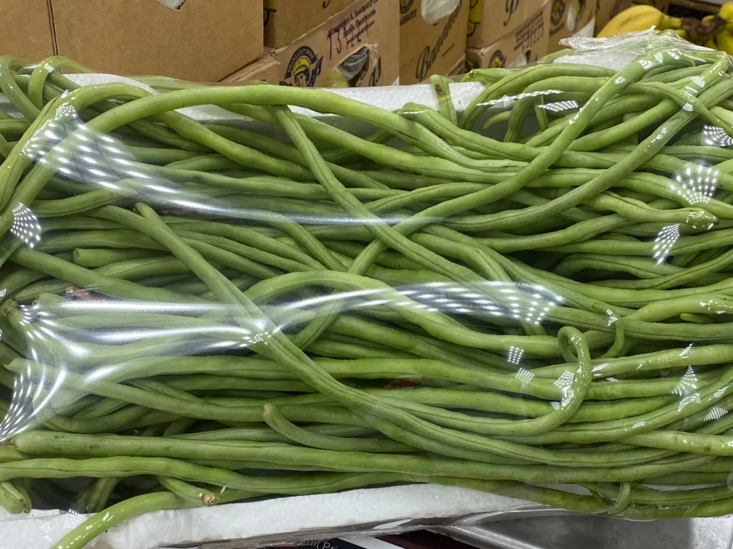 Flint Beans
