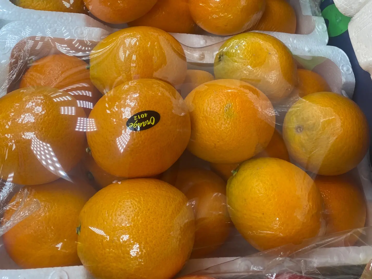 برتقال بو صره مغربي فلين