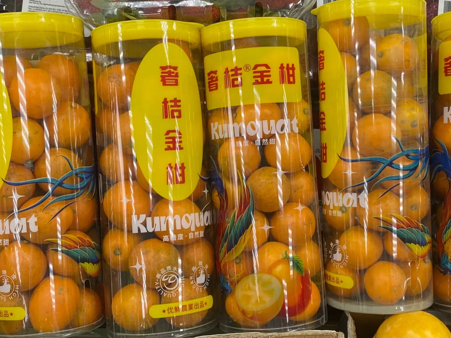 برتقال ملكي العلبه