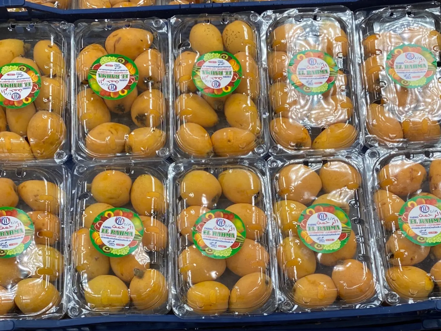 اكودنيا علبه