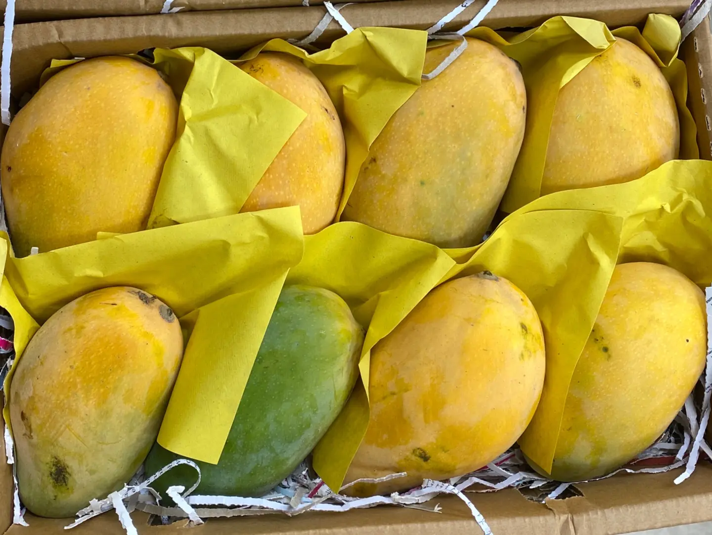 Yemeni Al Angra Mango Per Kilo