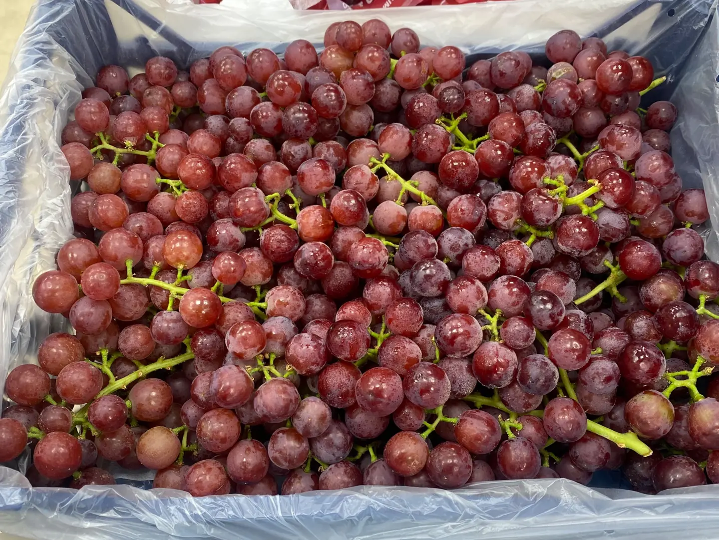 Egyptian Grapes