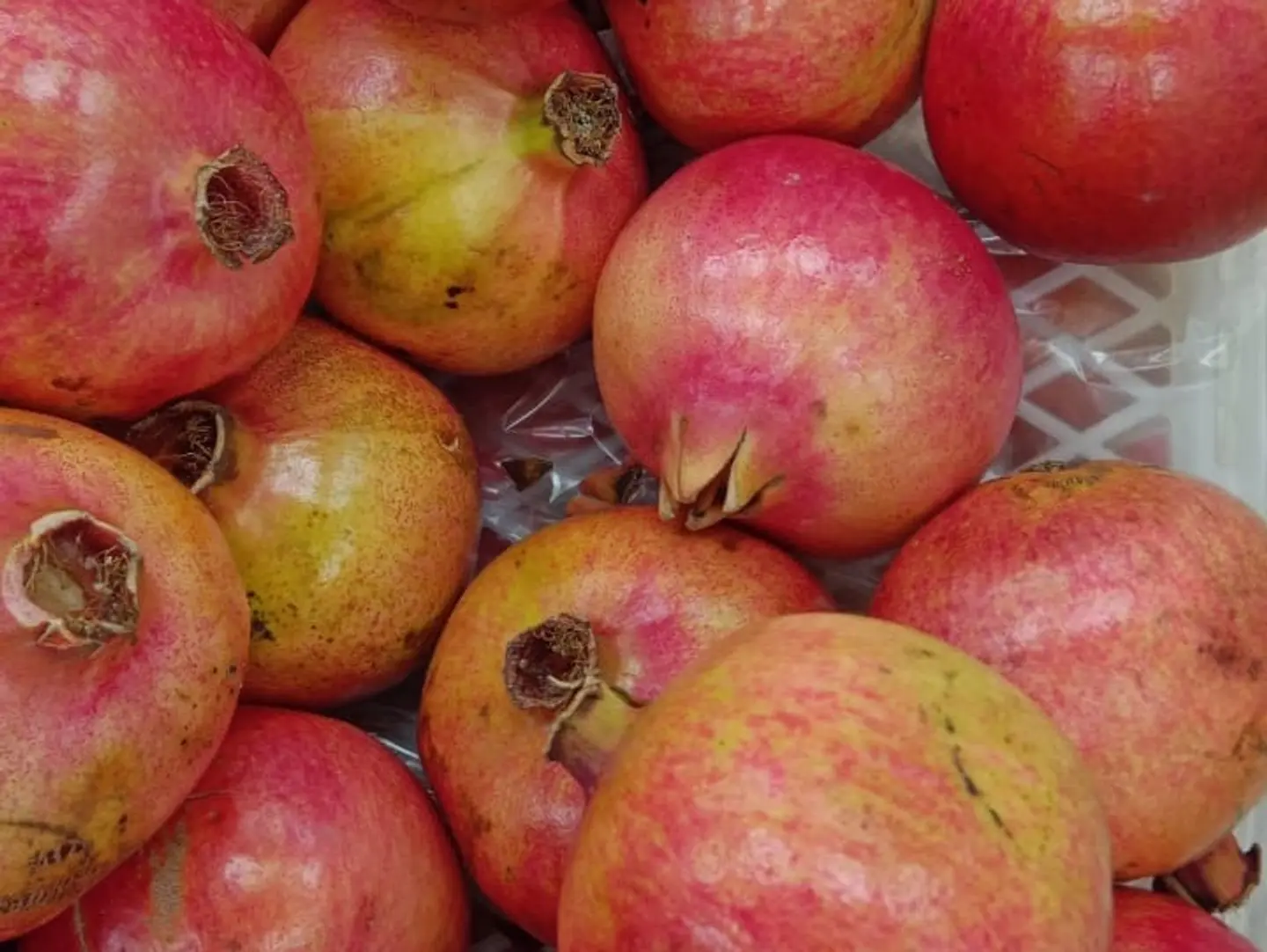 Pomegranate Peru Kilo