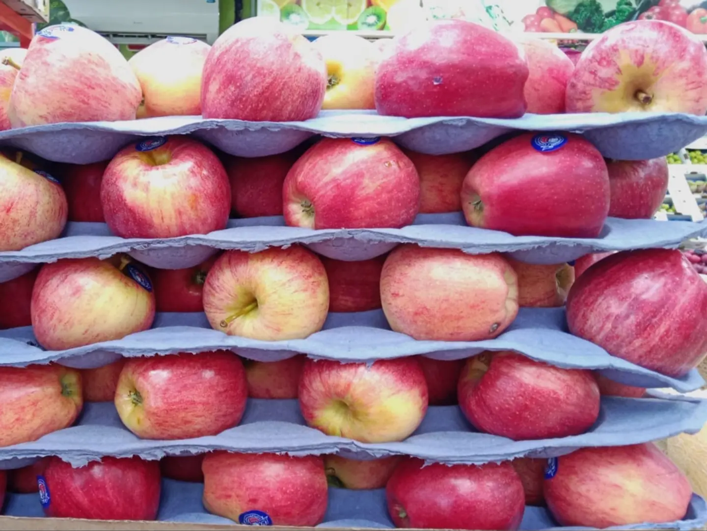 Apples