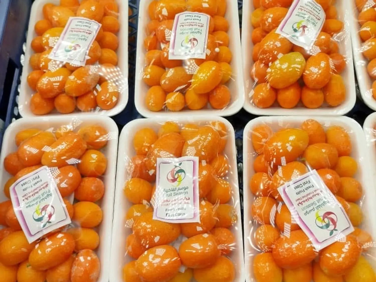 Small Plate Royal Orange