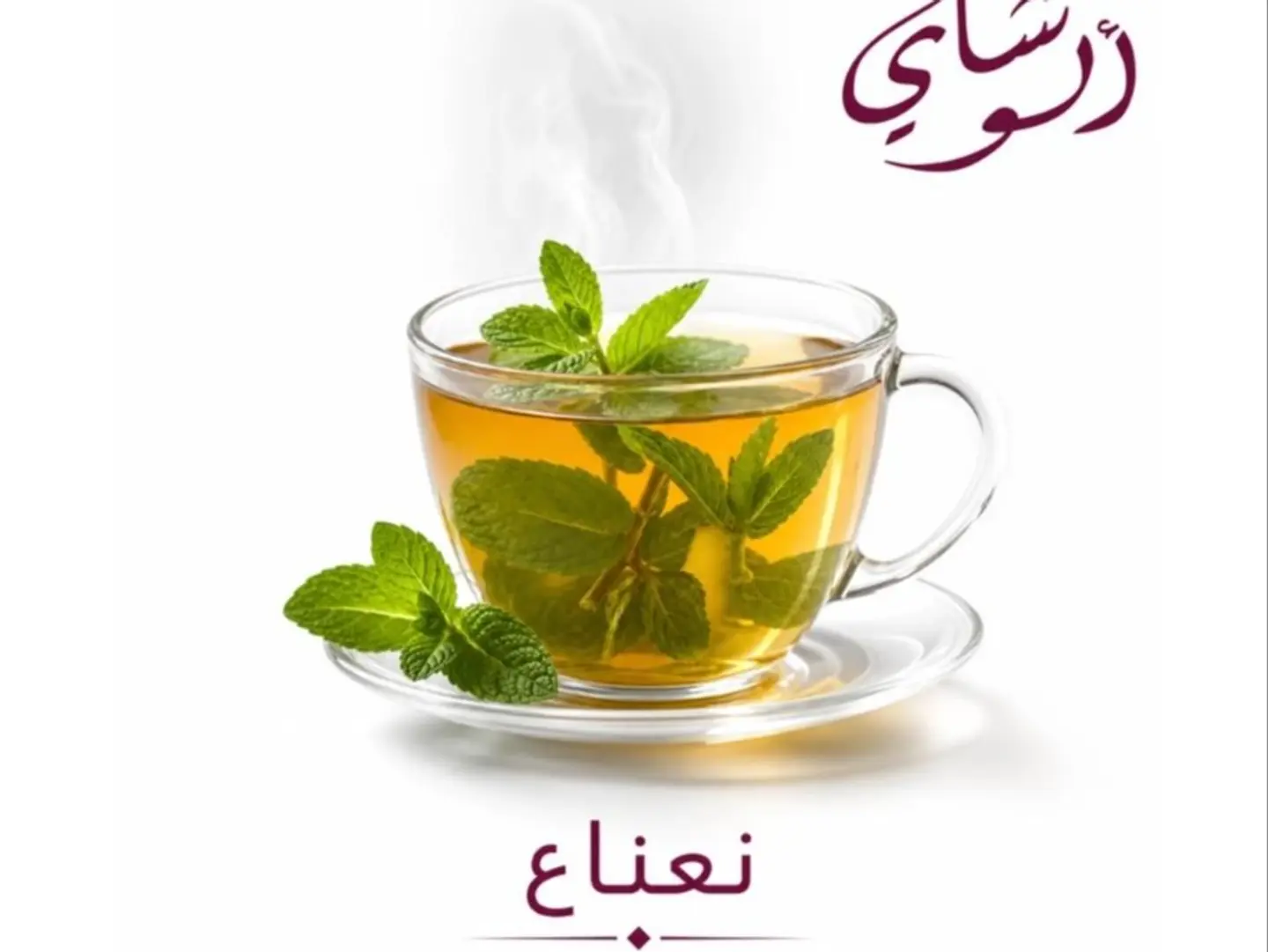 Mint Cup - Small
