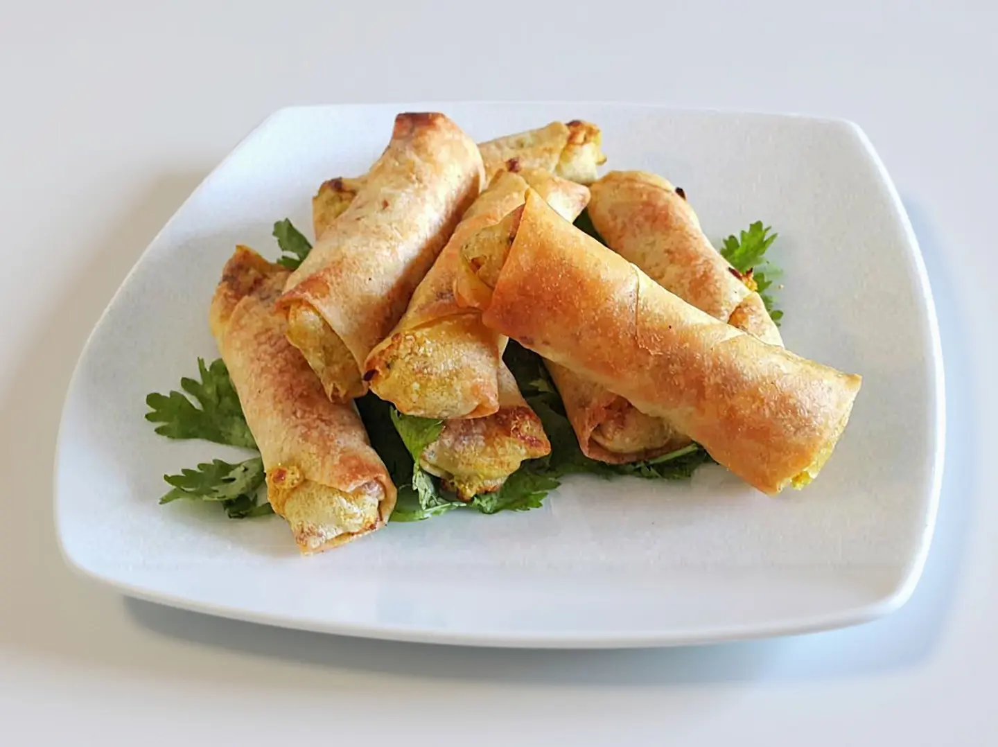 Vegetable Spring Roll