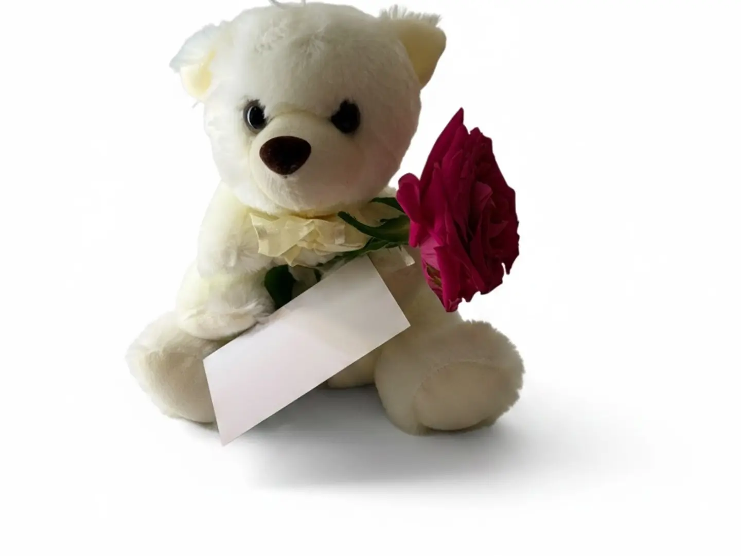 A Small, Elegant Teddy Bear With A Real Red Rose.