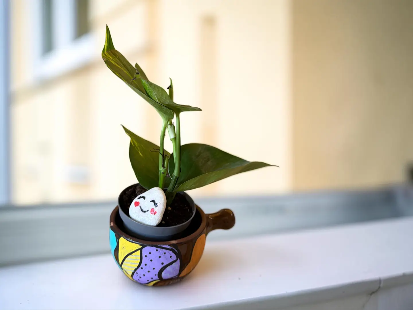 An Elegant Plant
