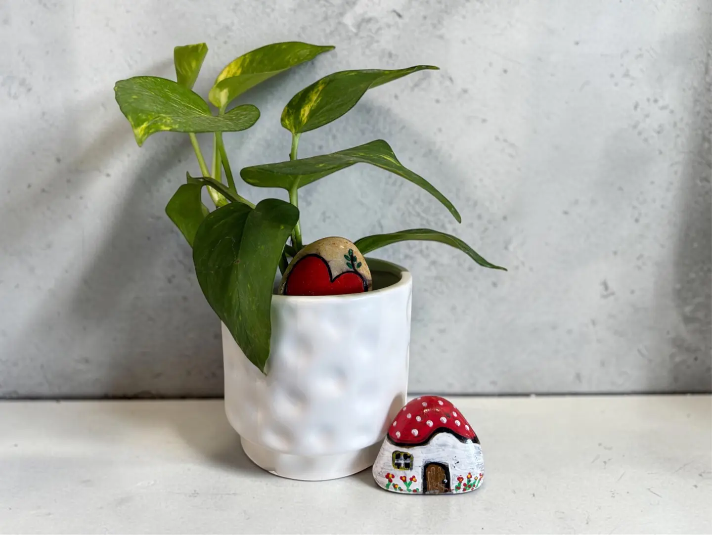 Pothos Plant