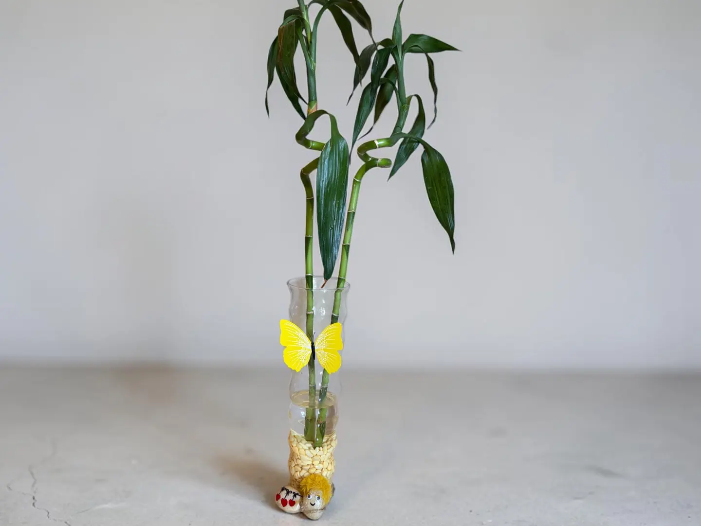 Bamboo Touch