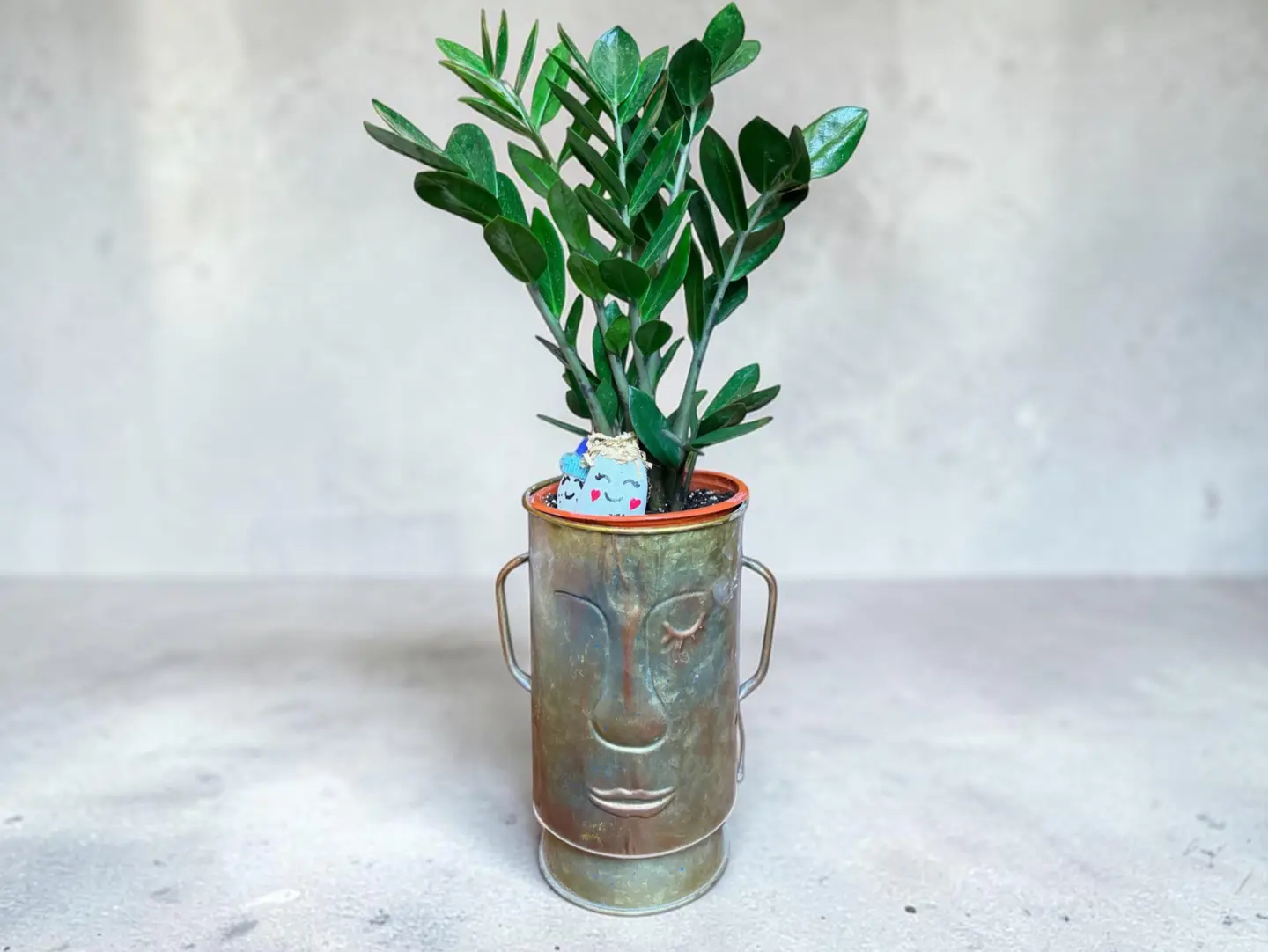 Zz Plant In Artistic Metal Planter