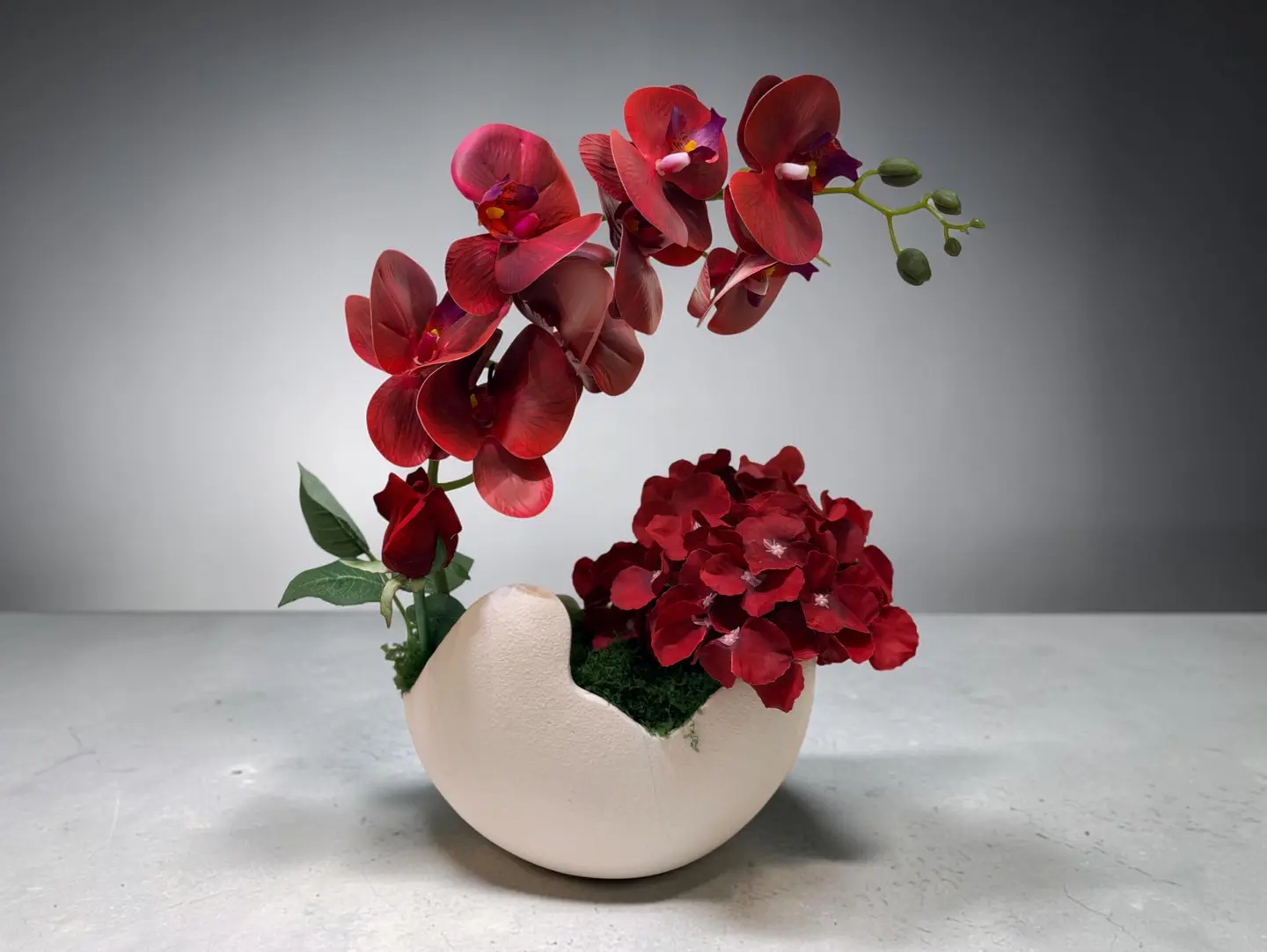 Velvet Orchid Masterpiece