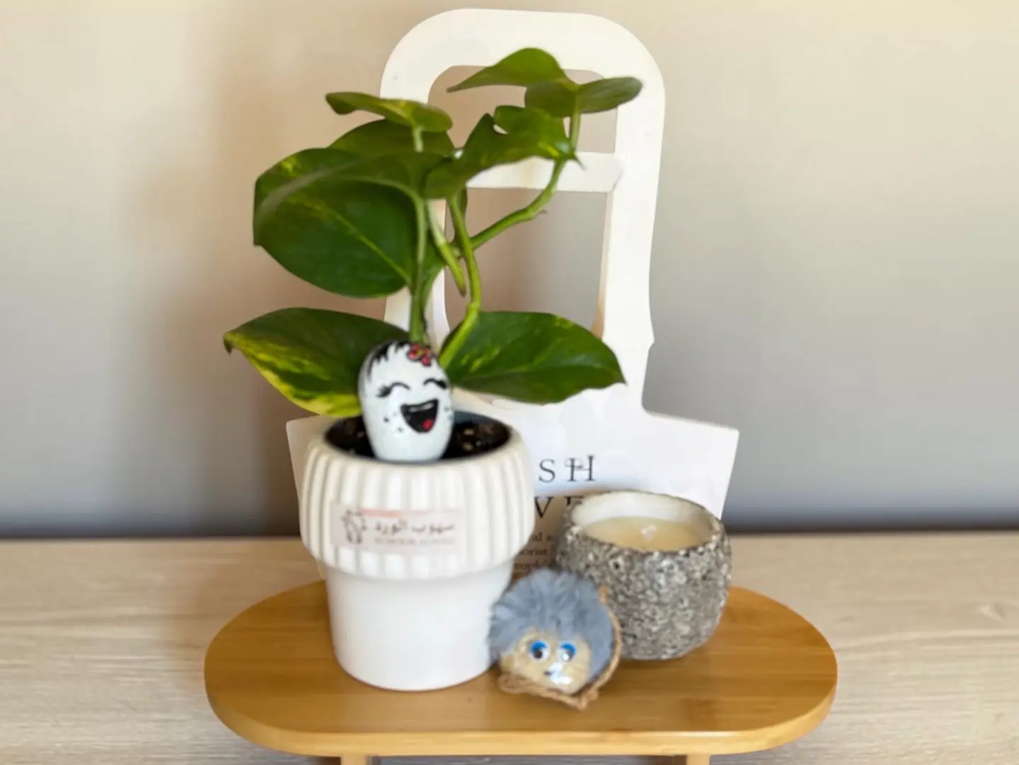 Indoor Plant
