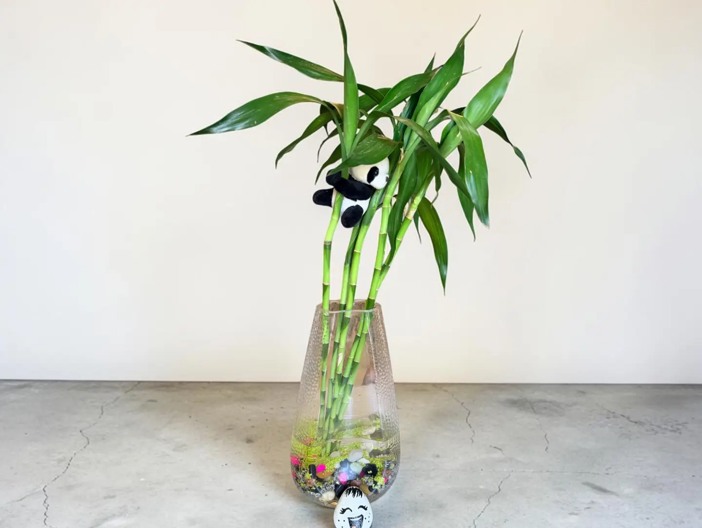 Lucky Bamboo