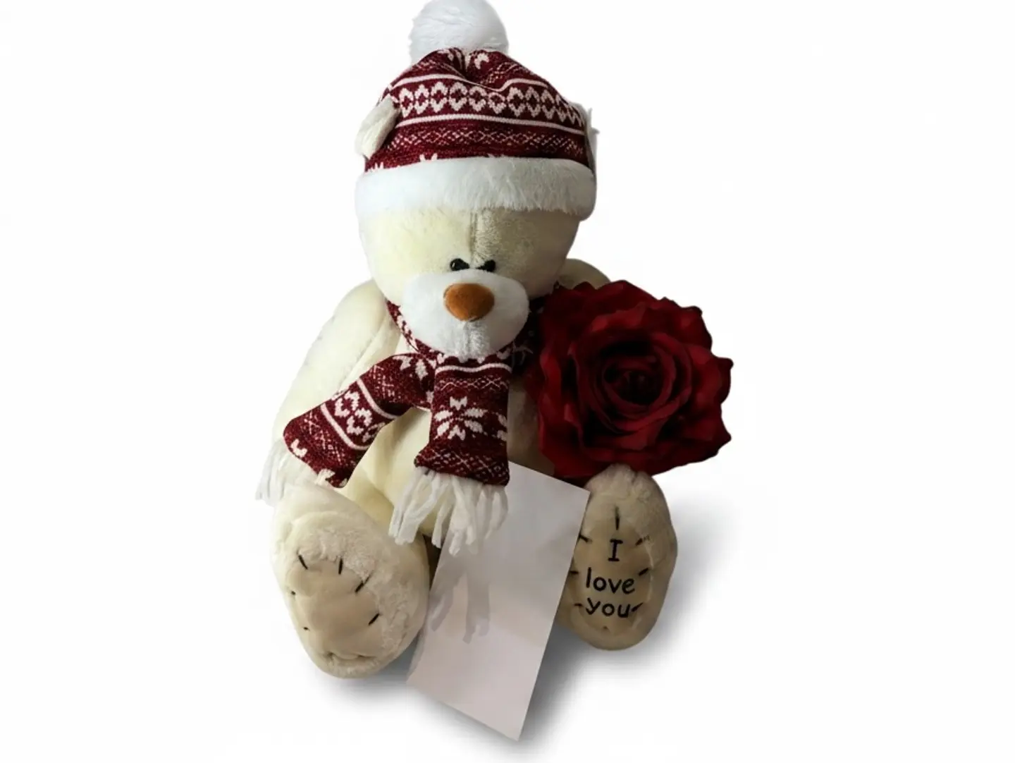 Warm Winter Teddy