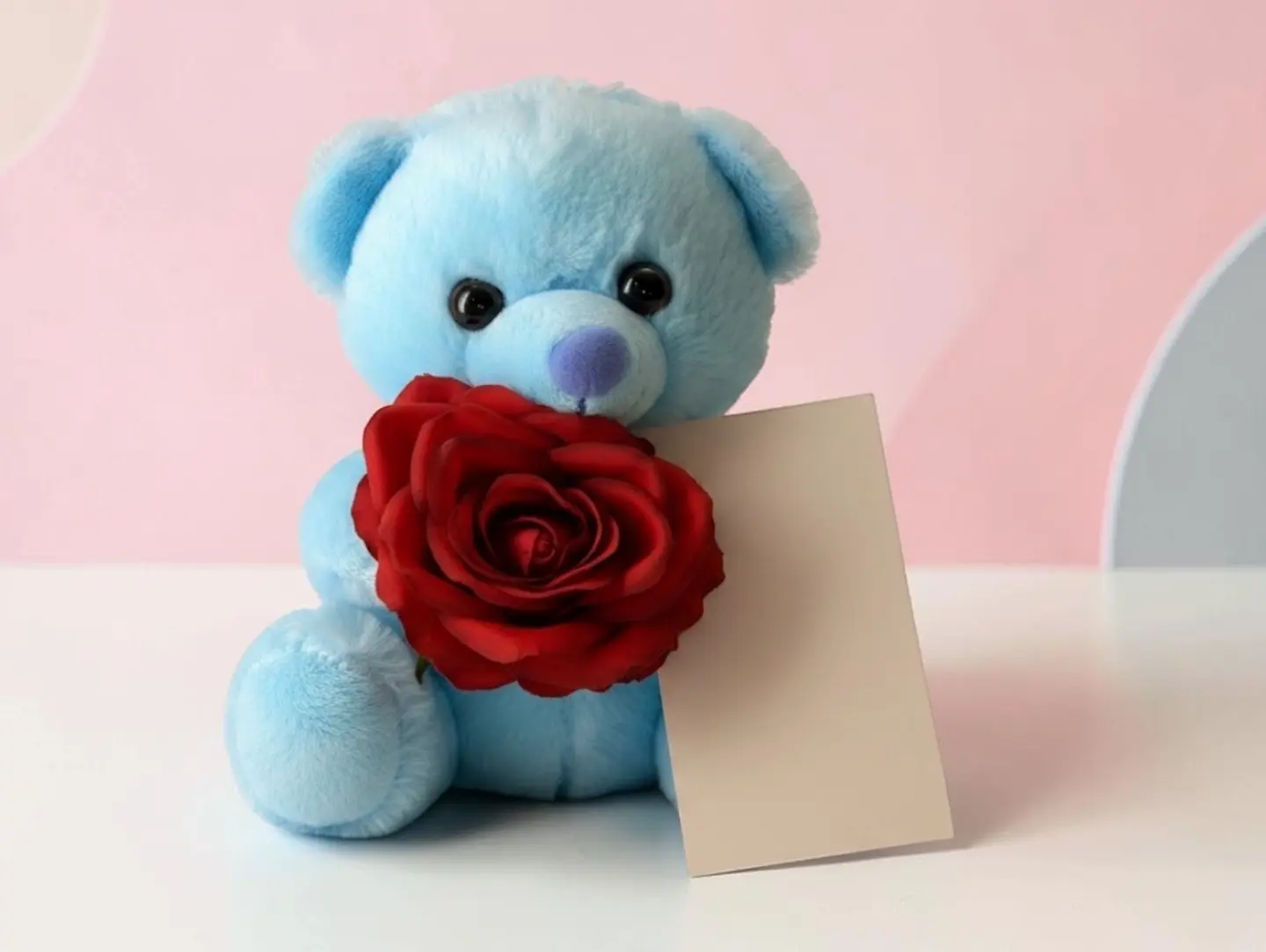 Sky Teddy