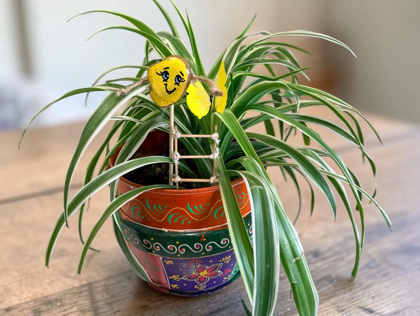 The Beauty Of The Plant
