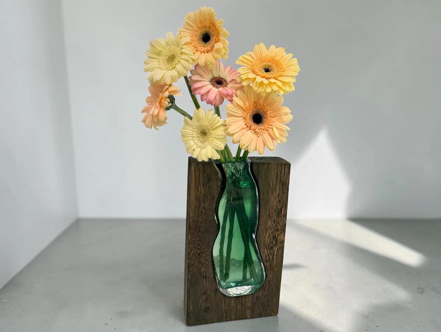 Gerbera Modern
