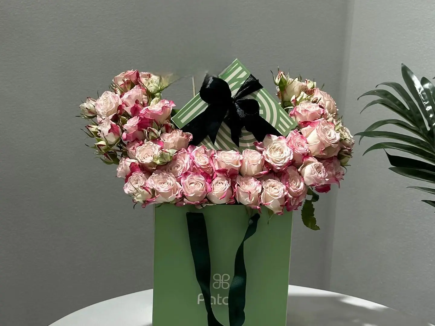 شوكلاته باتشي رقم الطلب٤