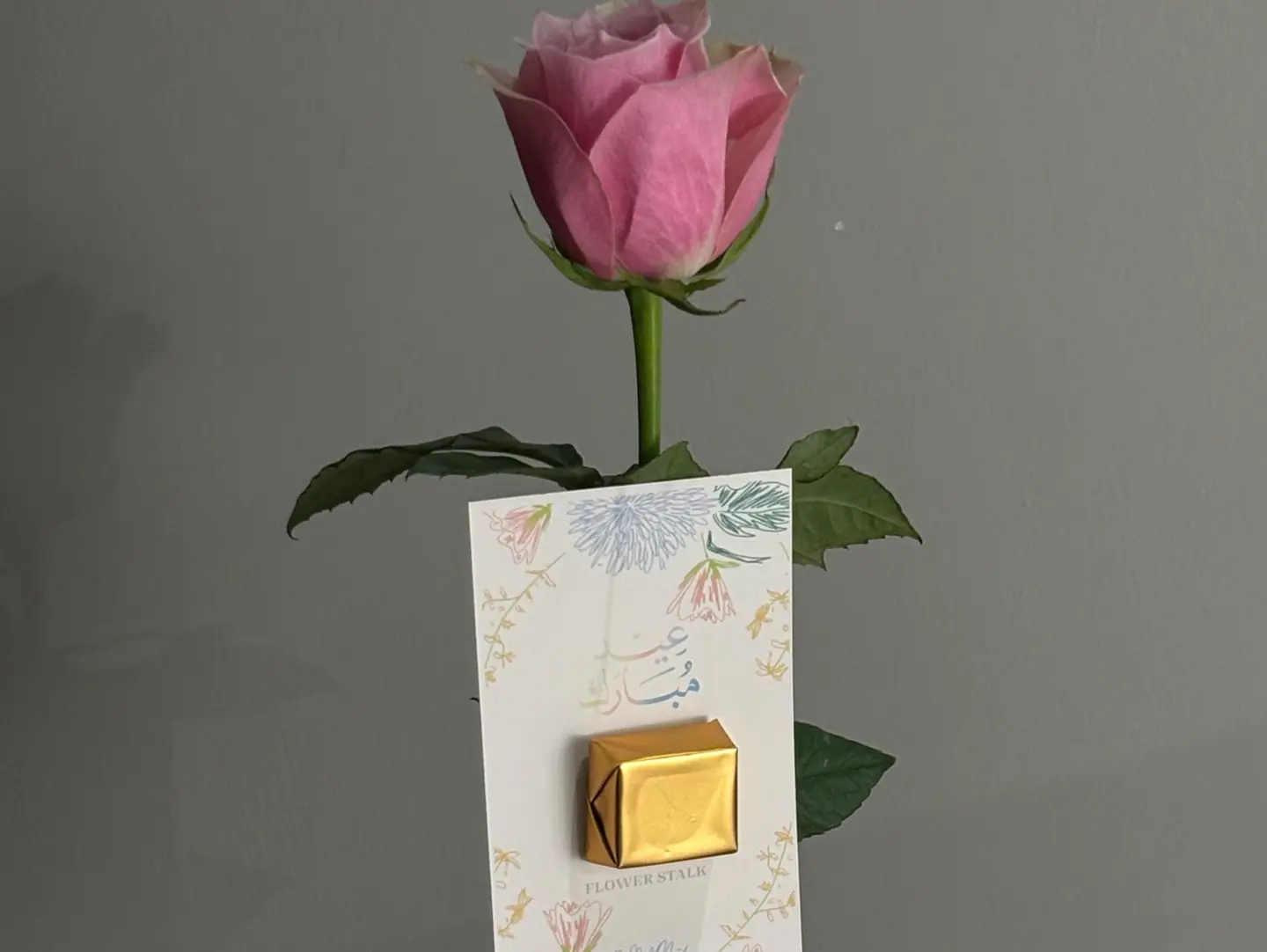 Pink Flower With Chocolate