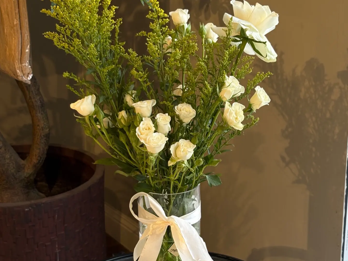 الفازة البيضاء