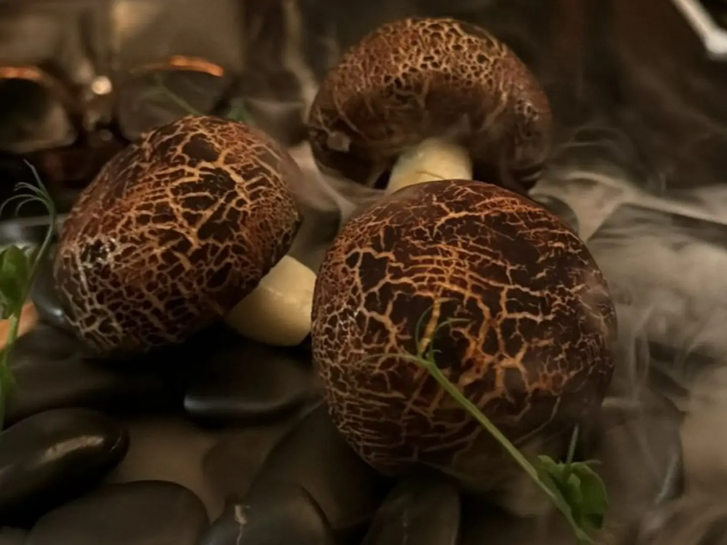 Mushroom Shaped Buns