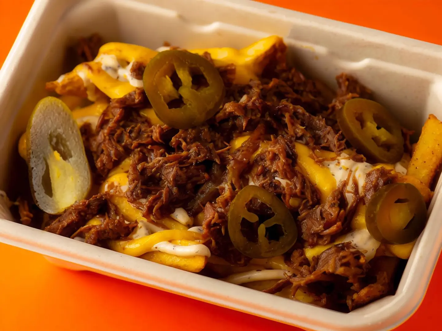 Brisket Fries