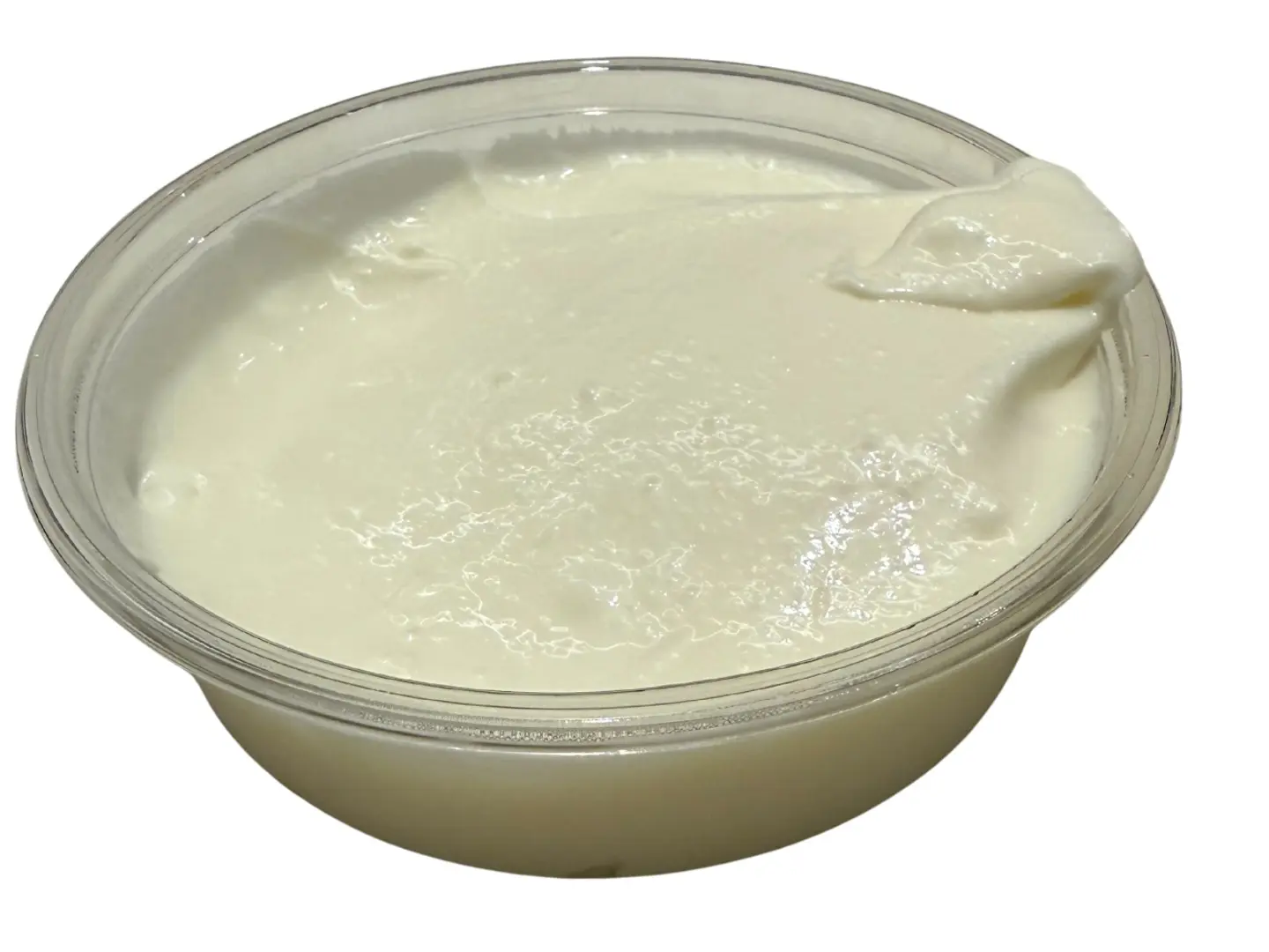 صوص الثوم كبير