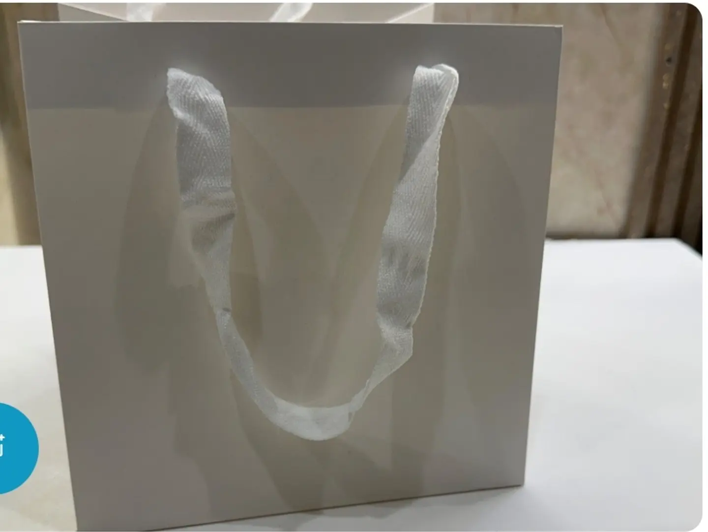 Medium White Gift Bag