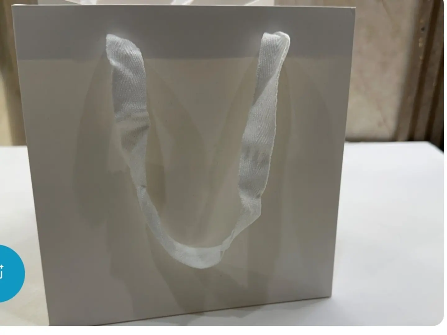 Large White Gift Bag
