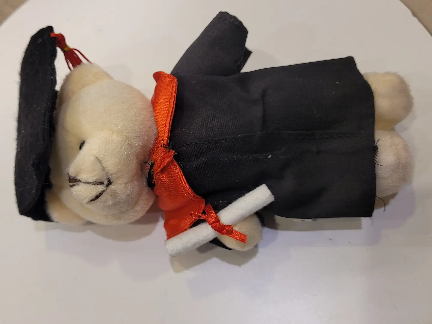 Small White Graduation Teddy Bear